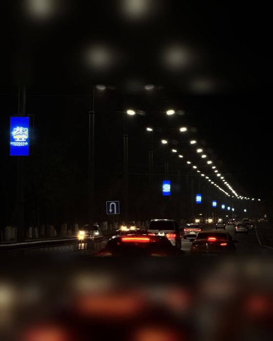 Дорога в аэропорт Бишкек (Васильевский тракт)